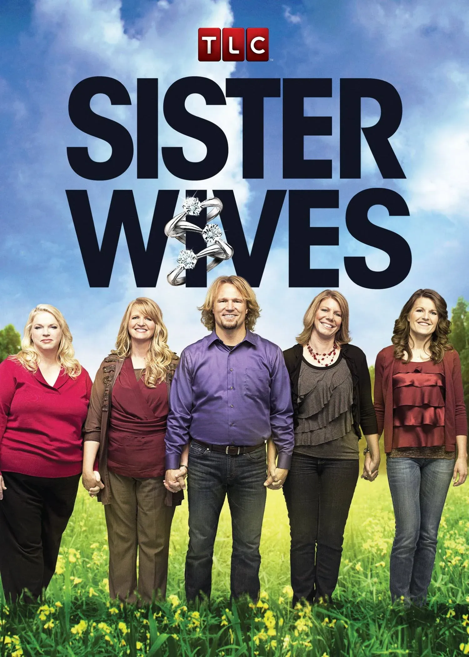 Sister Wives (dvd)