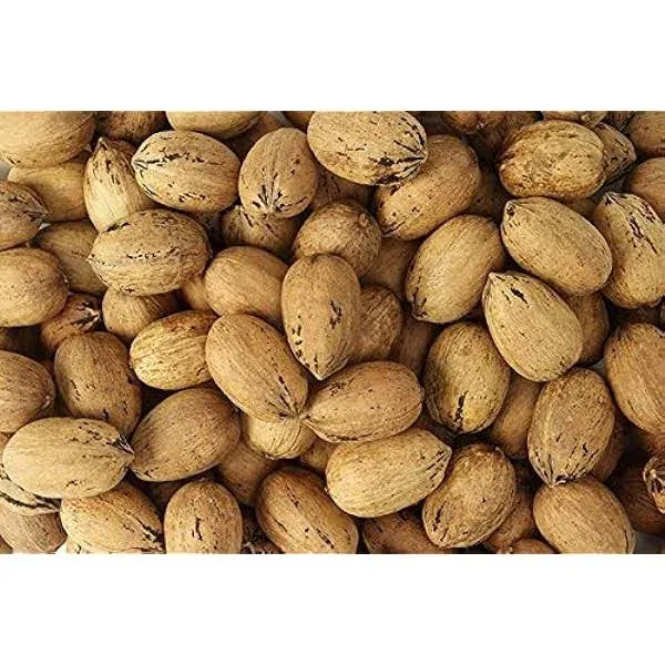 INSHELL Pecan Nuts For Sale | Whole Raw In Shell Pecans