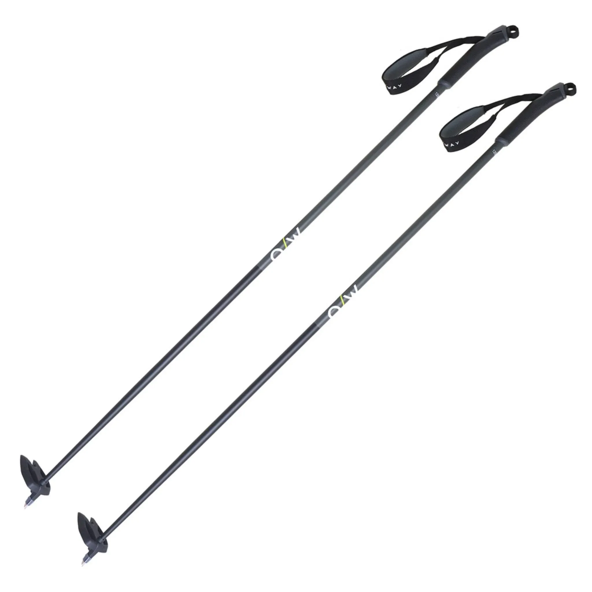 Fischer Unisex BC Offtrack Adult Durable Lightweight Stable Aluminum Adventure Nordic Ski Poles with Adjustable Straps