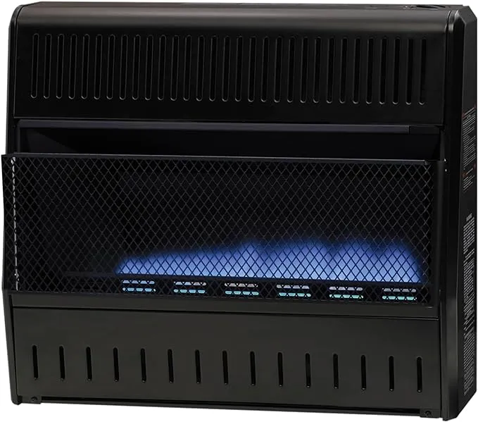 Procom Mnsd300tga Dual Fuel Blue Flame Garage Heater, 30000 BTU, Vent Free