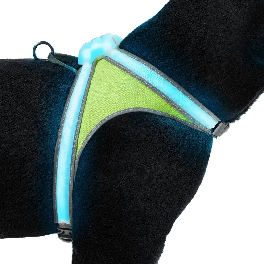 LightHound Harness Small