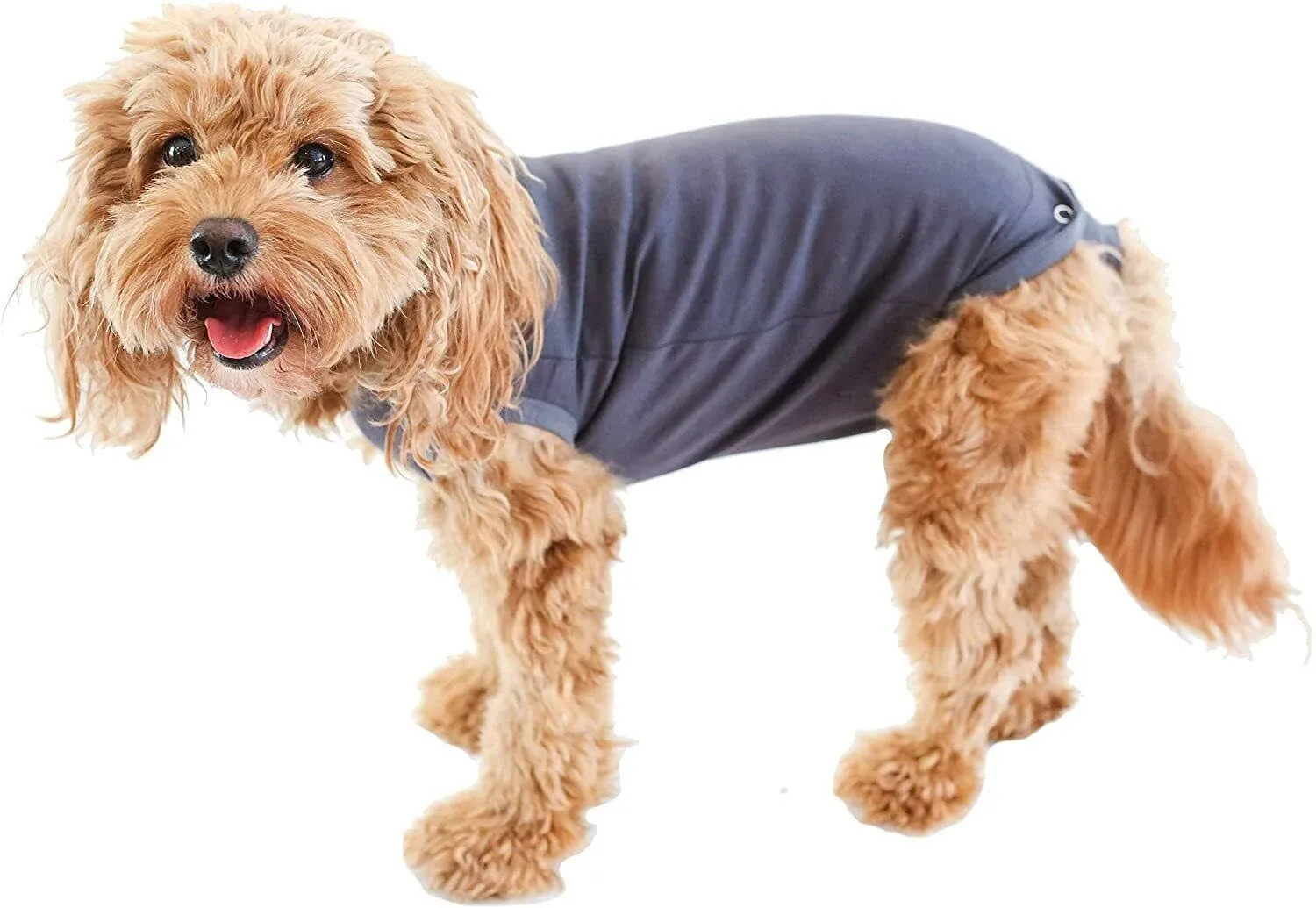 BellyGuard Recovery Suit for Dogs, After Surgery Dog Recovery Suit Female and Male, Soft Cotton Dog Surgery Suit Female Spay, Dog Surgical Recovery Suit Male Neuter, Comfy Surgical Onesie for Dogs.