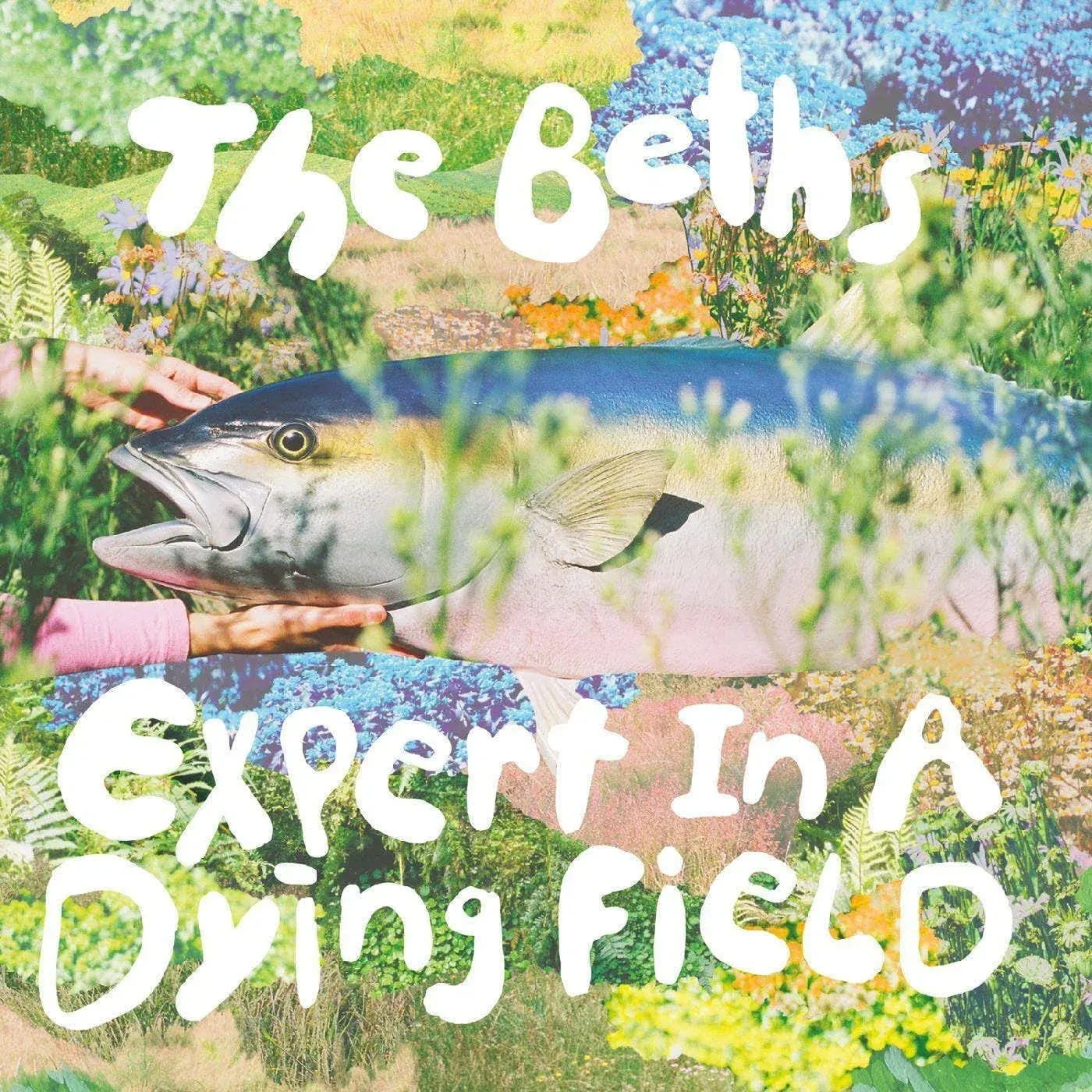 The Beths - Expert In A Dying Field (2 Color Variants)