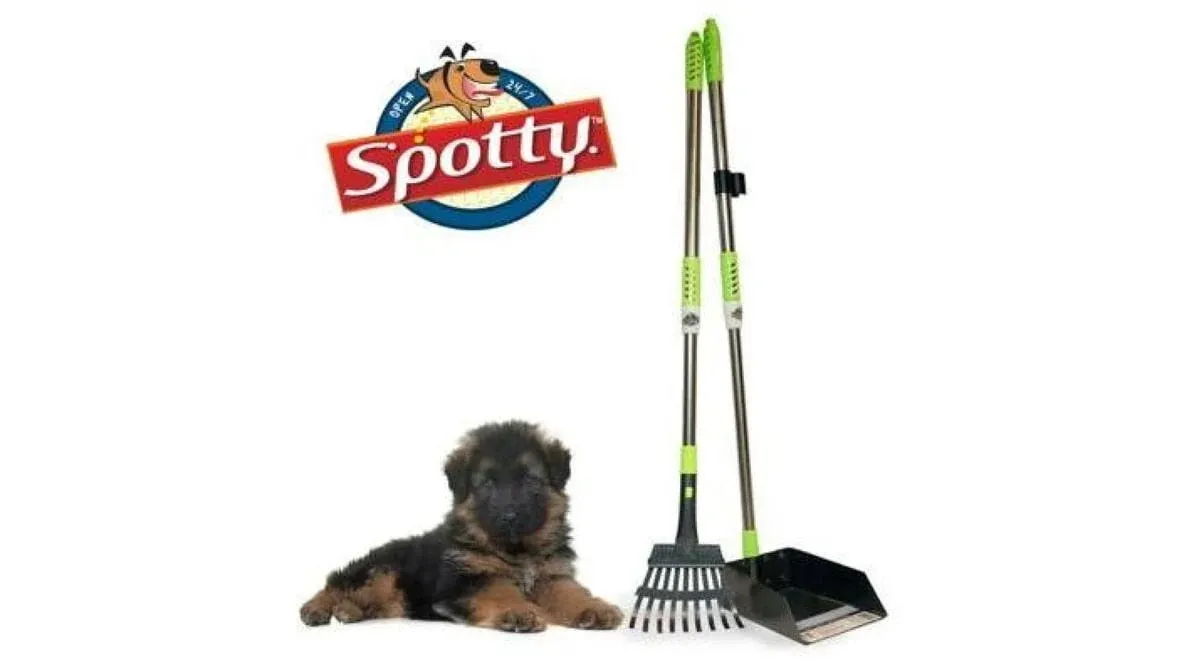 MXF Pooper Scooper, Dog Pooper Scooper Long Handle Stainless Metal Tray and Rake Set for Medium Small Dogs Heavy Duty - Use on Grass, Dirt or Gravel - Pet Supplies (Green)