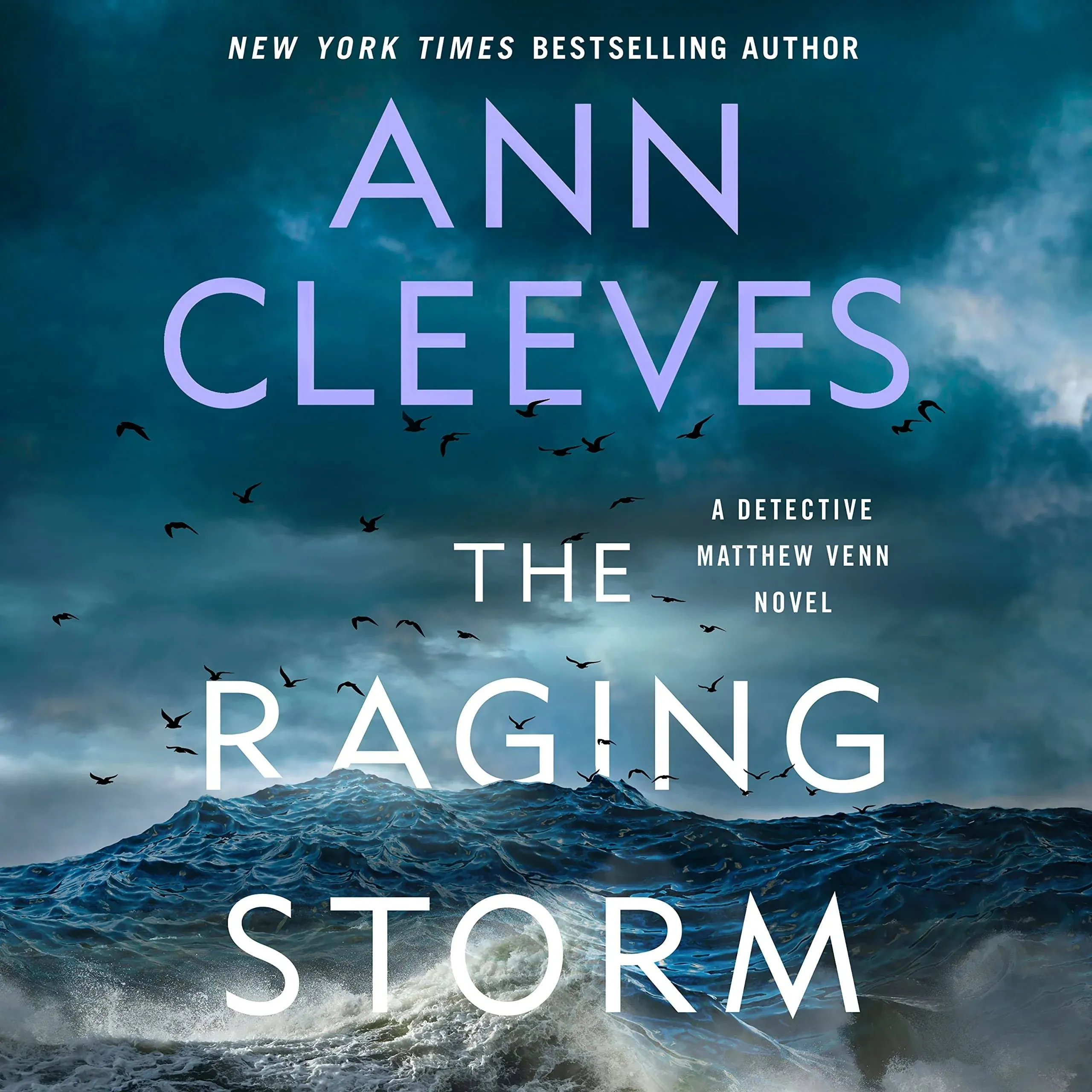 The Raging Storm (Detective Matthew Venn Novel #3)