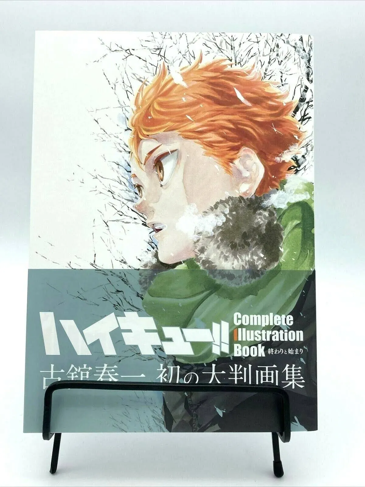 Haikyu Complete Illustrations Artbook