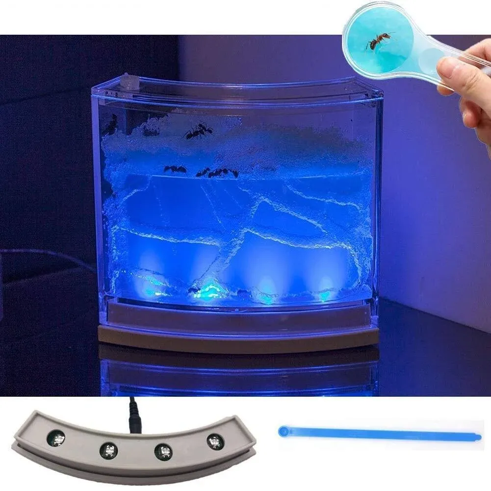 Navadeal Ant Farm Habitat for Kids w/ LED Light - Great Educational & Science Kit ...