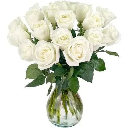 Next Day Delivery | 18 White Roses Fresh Flower Bouquet with Vase | Designed by ...