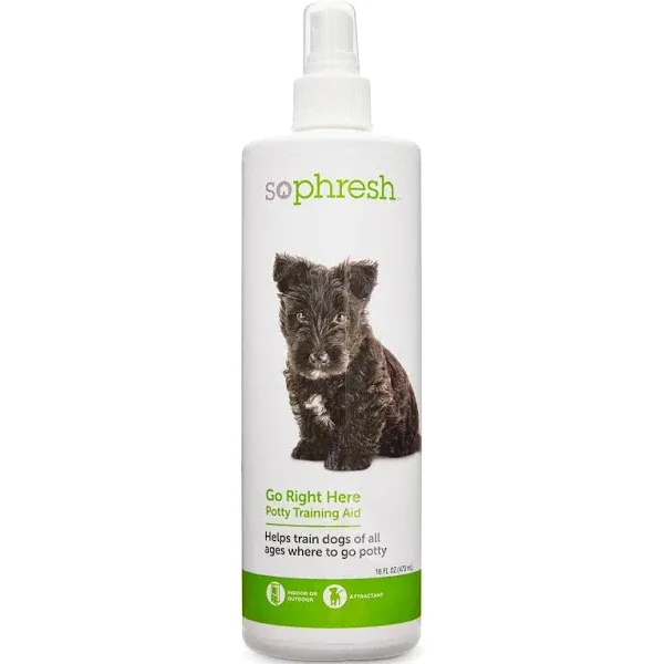 So Phresh Go Right Here Potty Training Spray 16 oz.