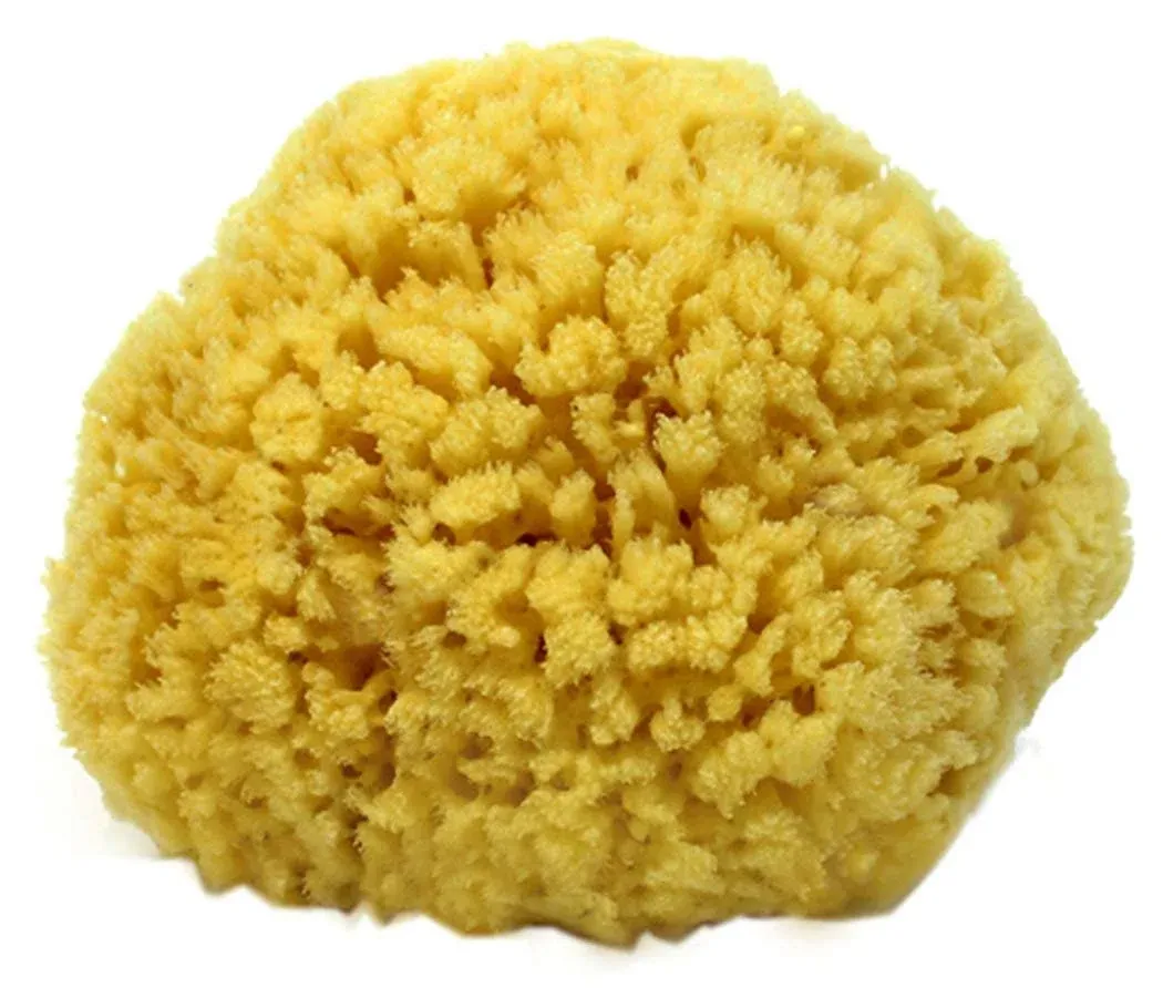 Natural Sea Sponge Small 4-5" by Spa Destinations Creating The Perfect Bath and ...