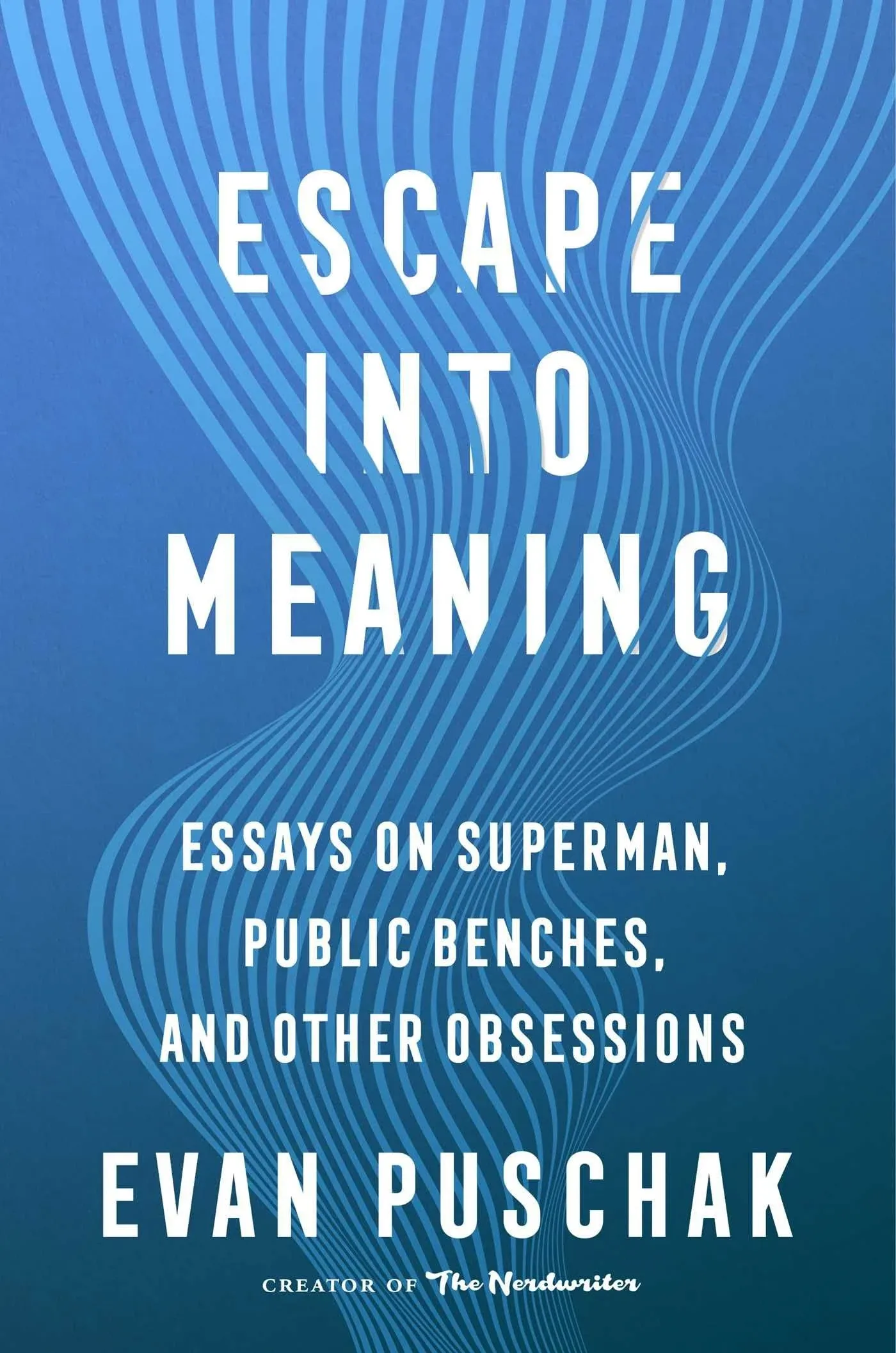 Escape into Meaning: Essays on Superman, Public Benches, and Other Obsessions