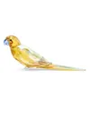 Shop Swarovski Jungle Beats Yellow Parakeet Lechee