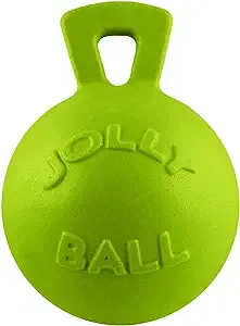 Jolly Ball - 10" Apple