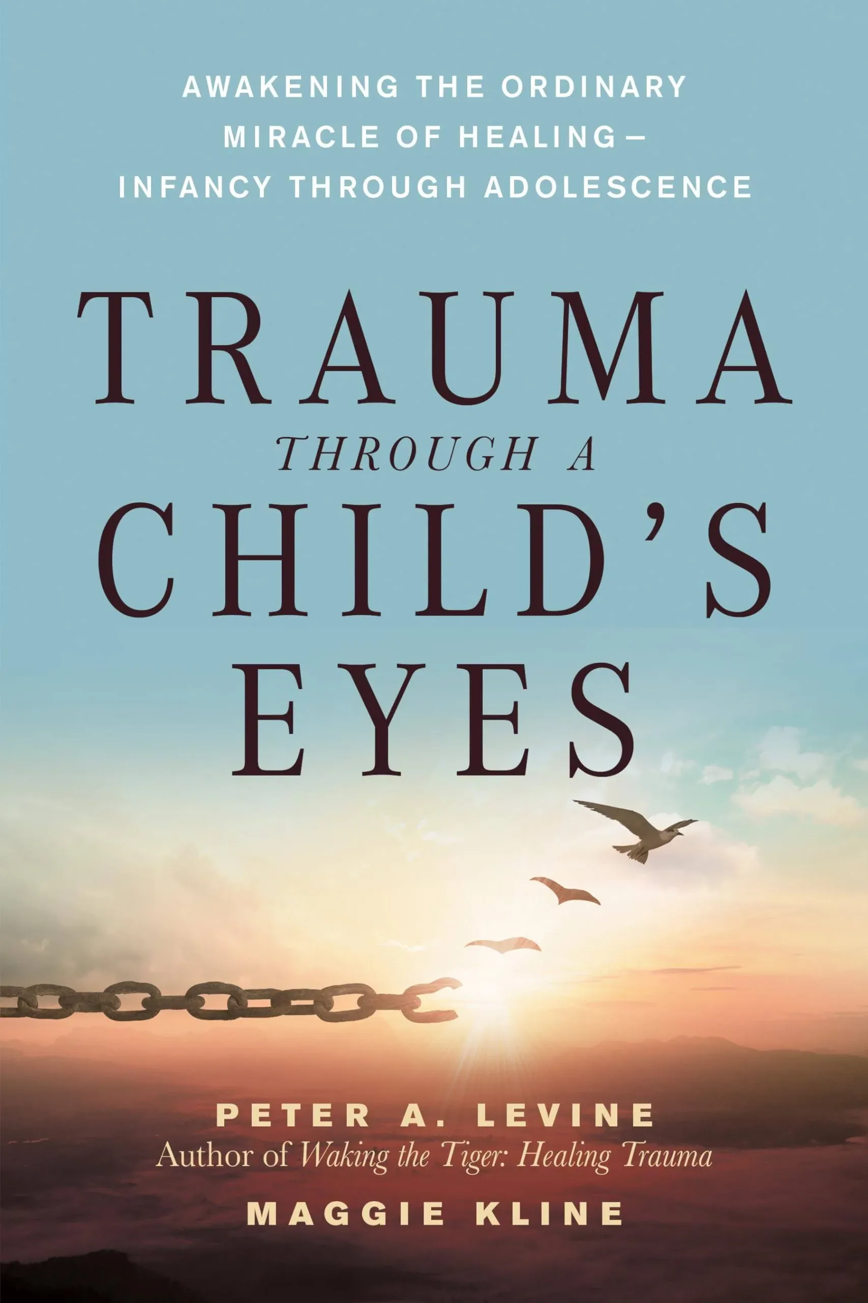 Trauma Through a Child&#039;s Eyes 9781556436307 Maggie Kline - Free Tracked Delivery