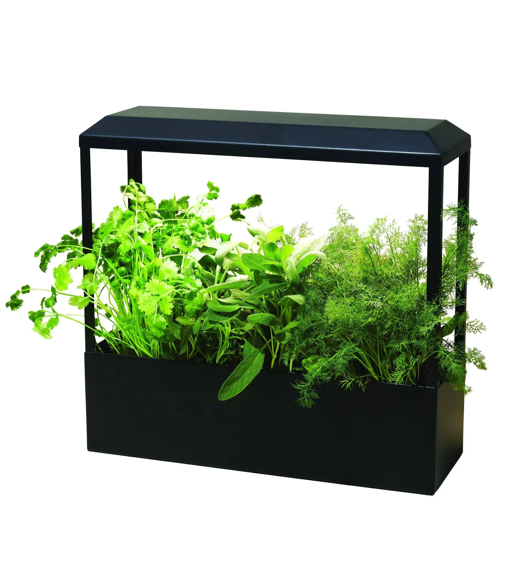 Modern Sprout - Smart Growhouse Brass