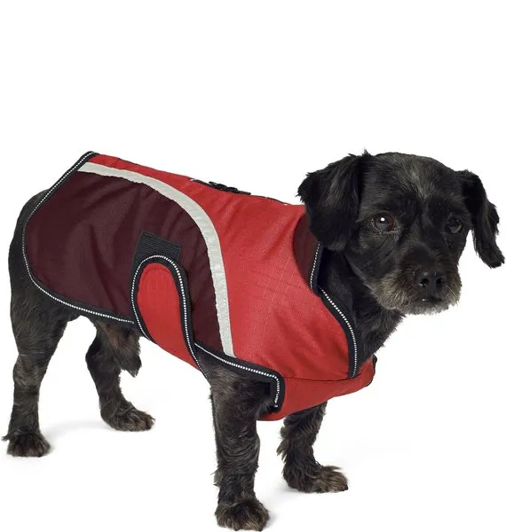 Petrageous Calgary Dog Coat - Red - Medium