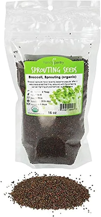 Handy Pantry Broccoli Sprouts Seeds Organic- 1 Lb - Non-GMO Organic Broccoli Seeds for Sprouting, Microgreens Sprouting Seeds, Contain Sulforaphane