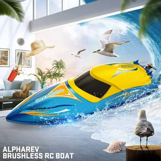 Boat ALPHAREV R608 Brushless RC Boats for Adults