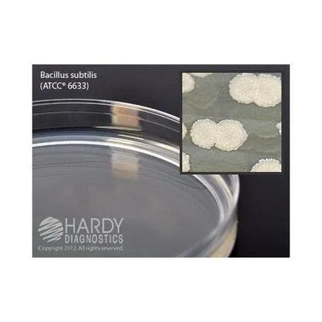 Tryptic Soy Agar (TSA), USP, a General Growth Medium for Microorganisms, 15x100mm Plate, Order by The Box of 100, by Hardy Diagnostics