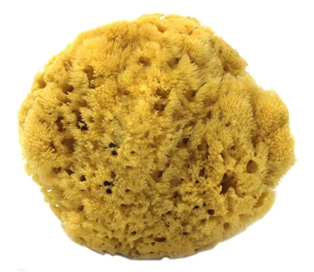 Natural Sea Wool Sponge 5-6" Natural Renewable Resource Bath & Shower