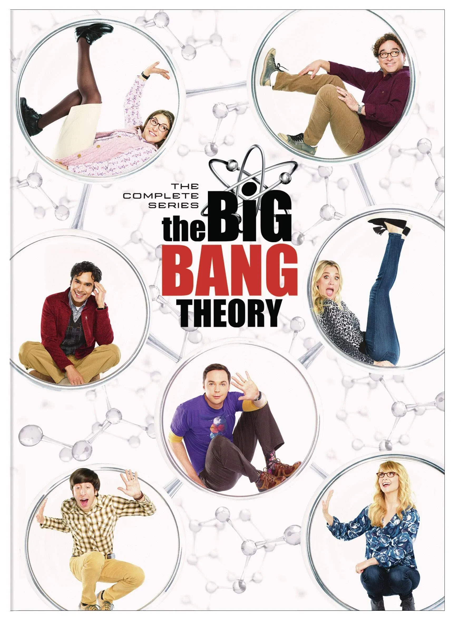 The Big Bang Theory The Complete Series [DVD]