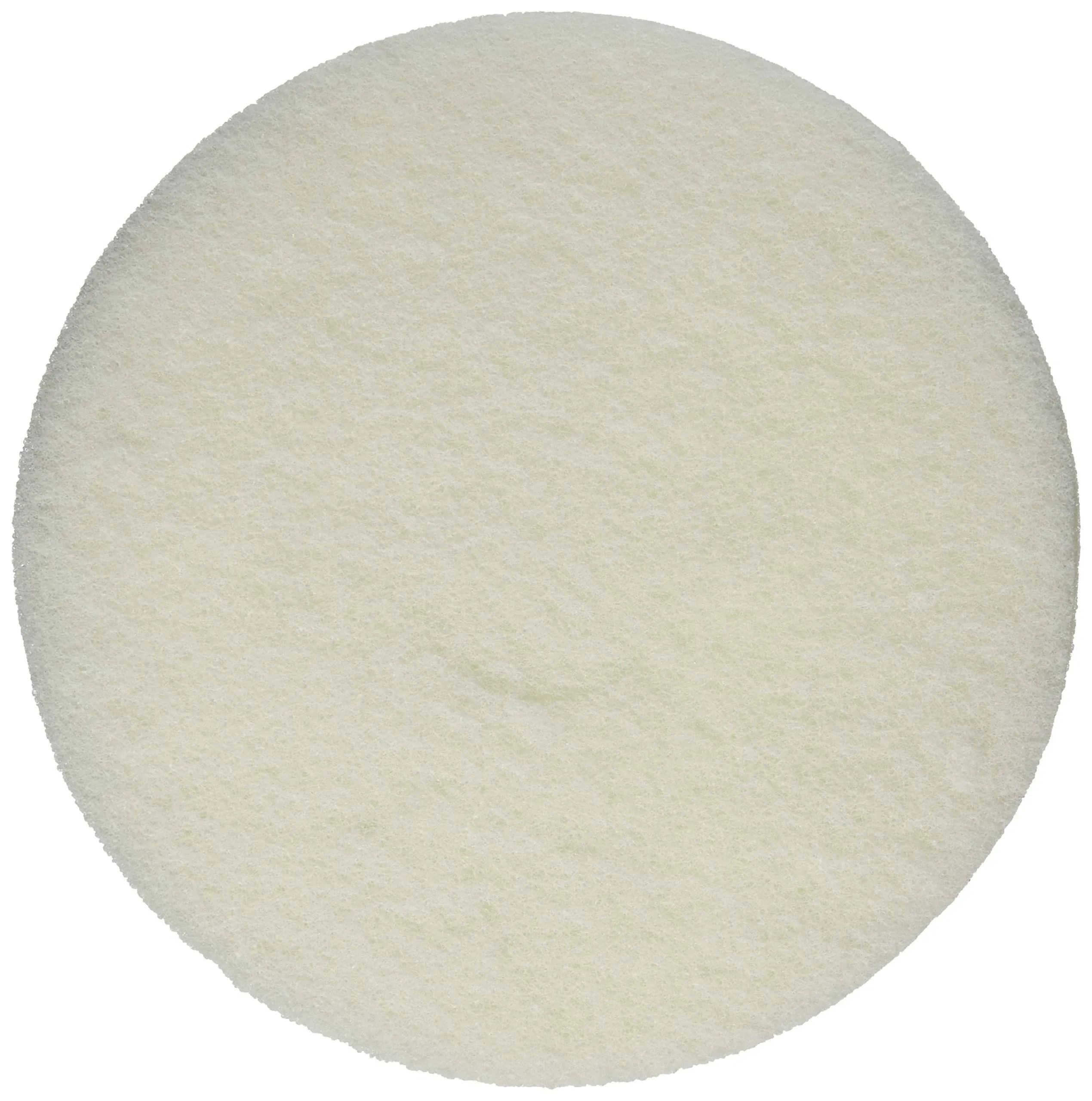 Oreck Polishing Pad Orbitor White