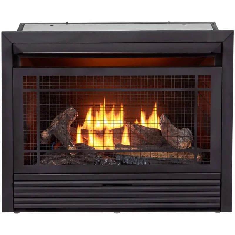 Bluegrass Living Duluth Forge Dual Fuel Ventless Gas Fireplace Insert