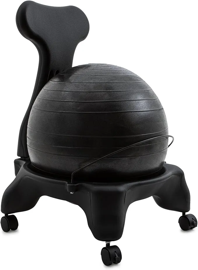 Ergonomic Fit Pro Ball Chair