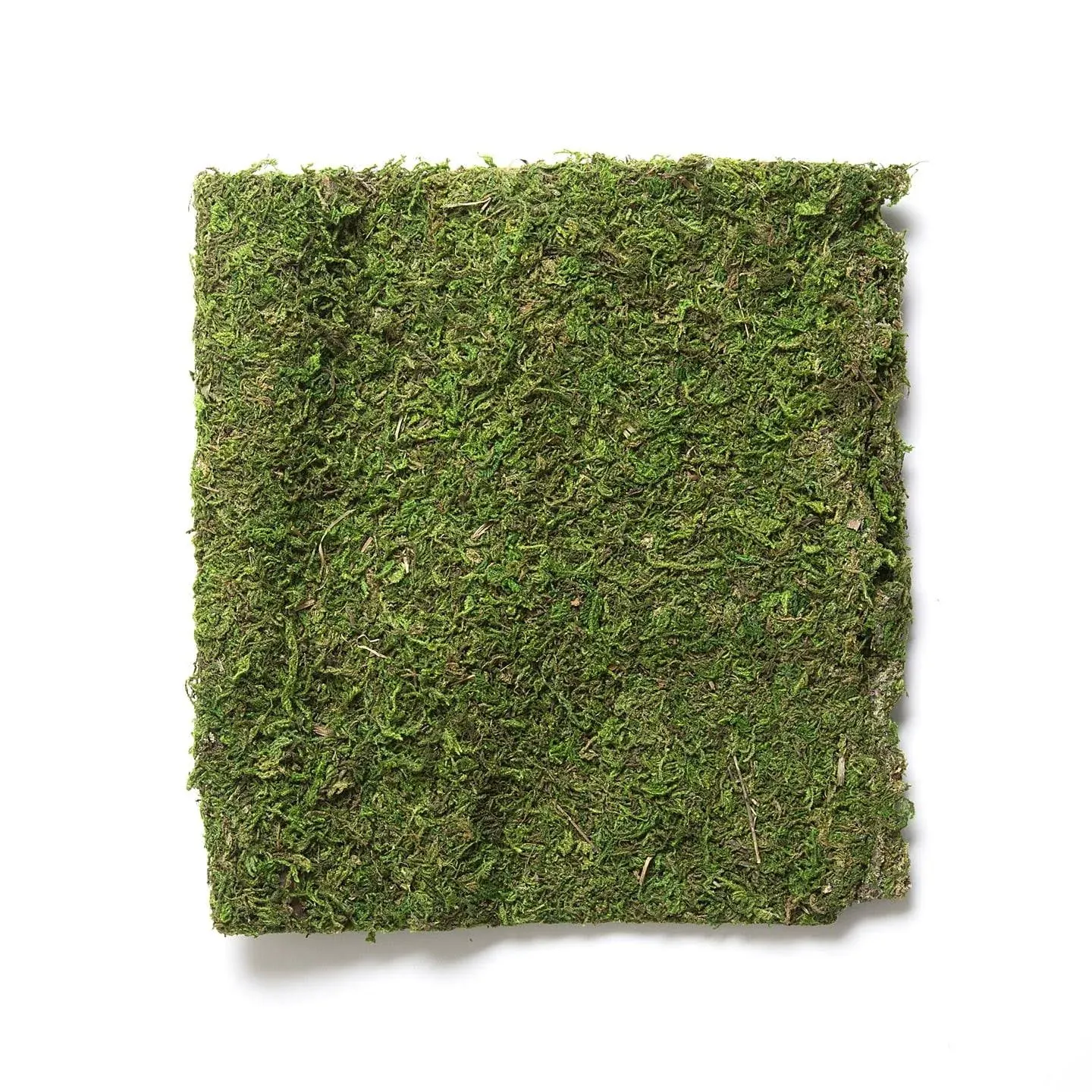 SuperMoss (22420) InstantGreen Moss Mat, Fresh Green, 18 x 16""