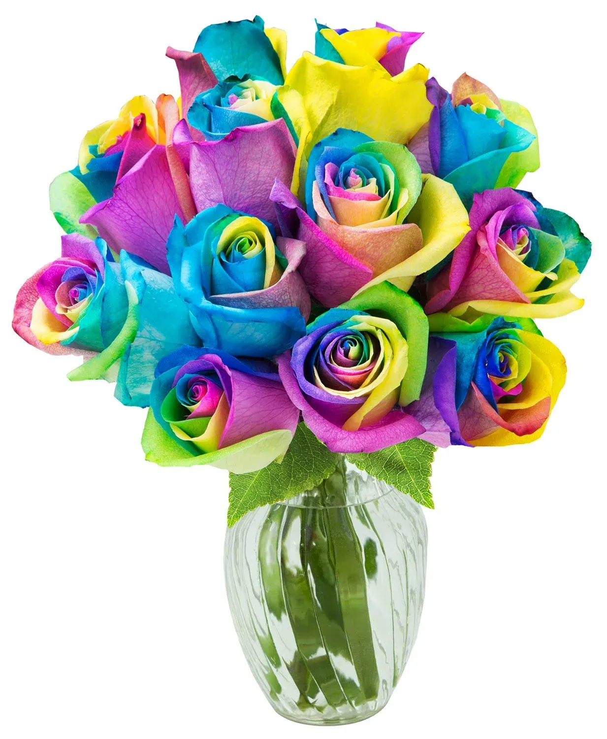 Kabloom Fresh Cut Rainbow Rose Bouquet of 12 Rainbow-Swirl Roses with Vase