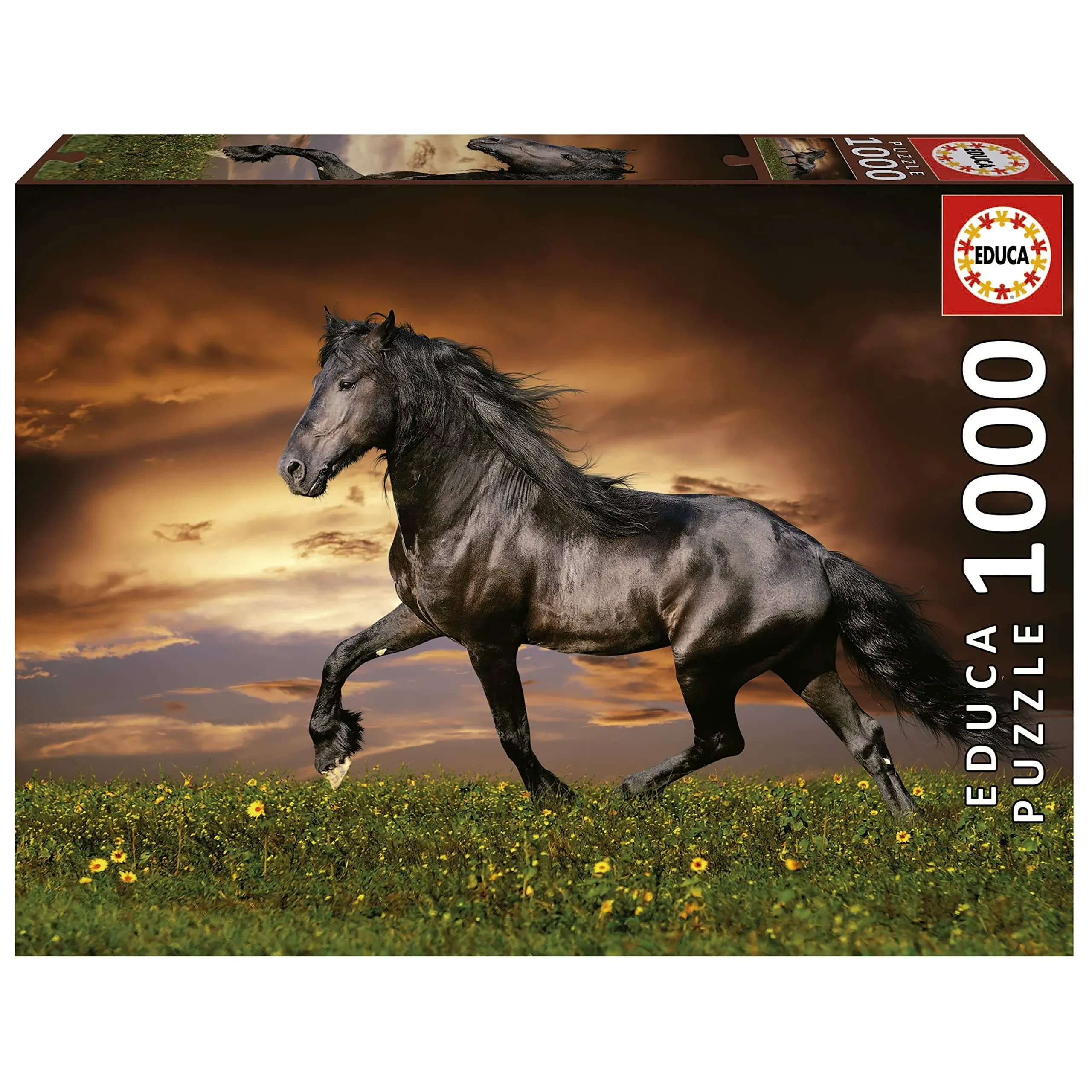 Puzzle Educa 1000 Pieces Horse