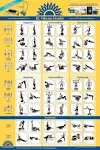 Full Body Vibration Poster Whole Body Vibration Plate Exercise Chart Workout Poster for Vibration Plate Exercise Machine