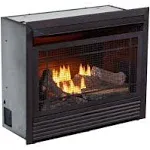 29.1 in. Dual-Fuel Ventless Gas Fireplace Insert, 26,000 BTU, Remote Control