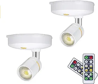 LEASTYLE Spot Lights Battery Operated Picture Lights Mini Accent Lights Indoor Dimmable LED Spotlight Remote