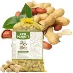 Raw Peanuts in Shell from The Amish Eco-farm 2lbs Great for Boiling Squirrels and Birds