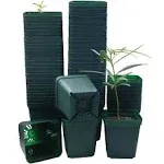 Square Nursery Seedling Pot 3.5 Inches 90 Pcs, Small Nursery 3.5Inch Green-90p