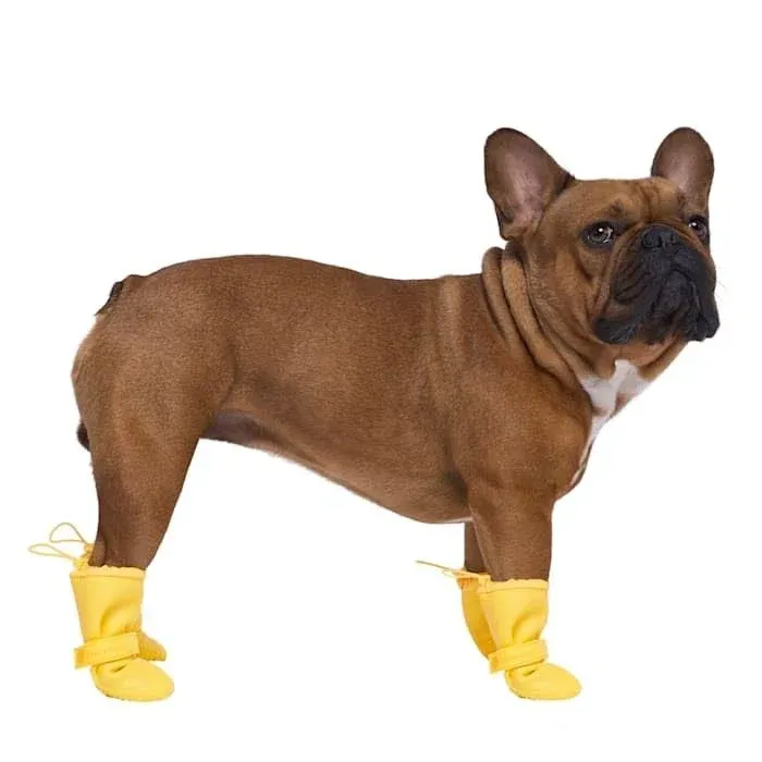 Canada Pooch Waterproof Rain Dog Boots, Yellow, 3