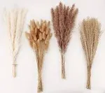 Dried Pampas Grass Decor, 100 PCS Pampas Grass Contains Bunny Tails Dried Flower