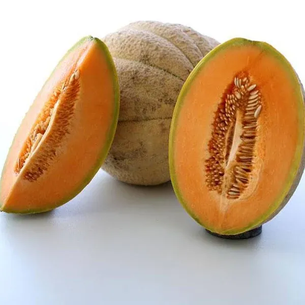 Tuscany Melon Seeds