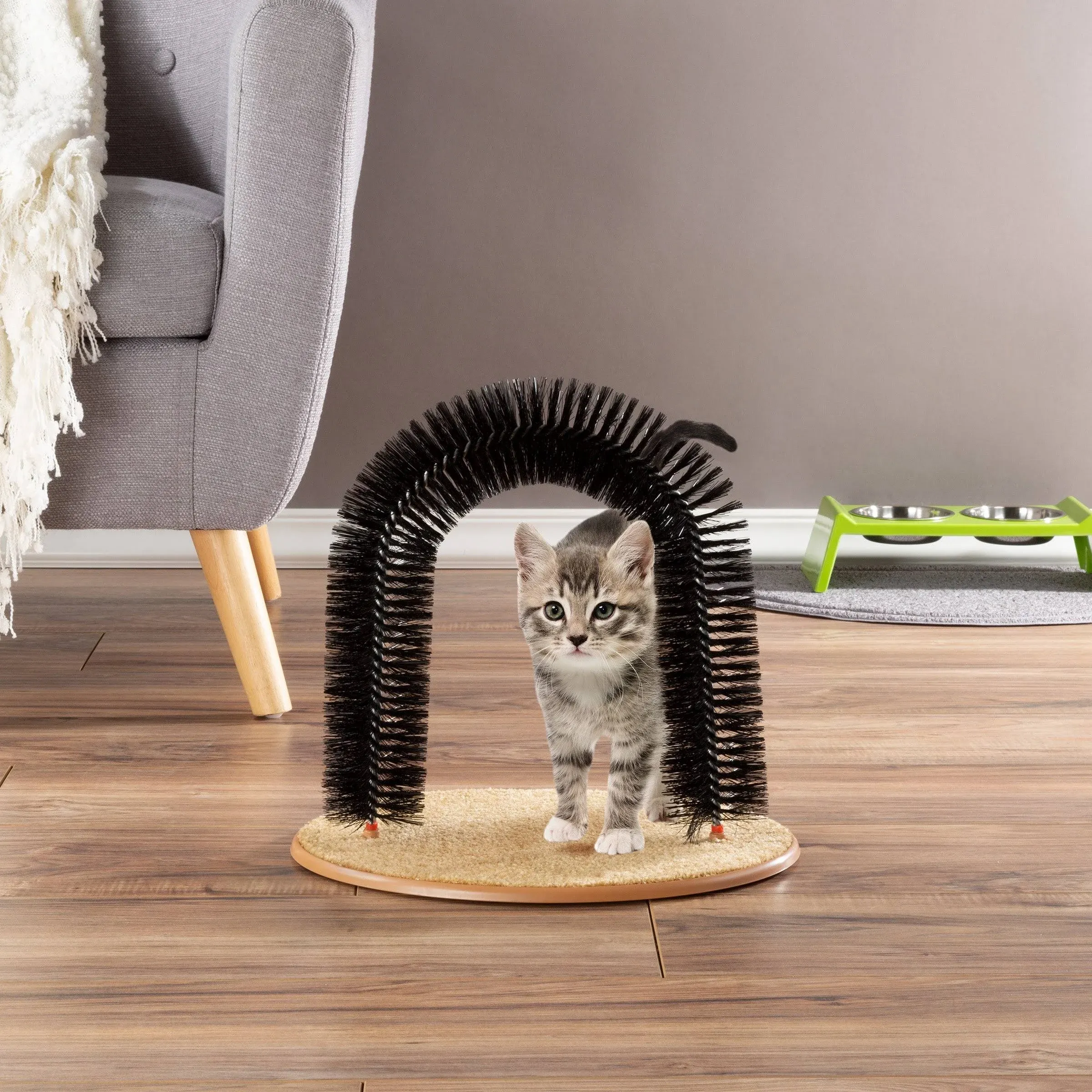 Self Grooming Cat Arch Bristle Ring Brush And Carpet Base Groomer Massager Scratcher For Controlling Shedding Healthy Fur - Buy Deshedding Tool Pet Grooming Brush,Pet Grooming Brush,Grooming Brush For Pet Product on Alibaba.com