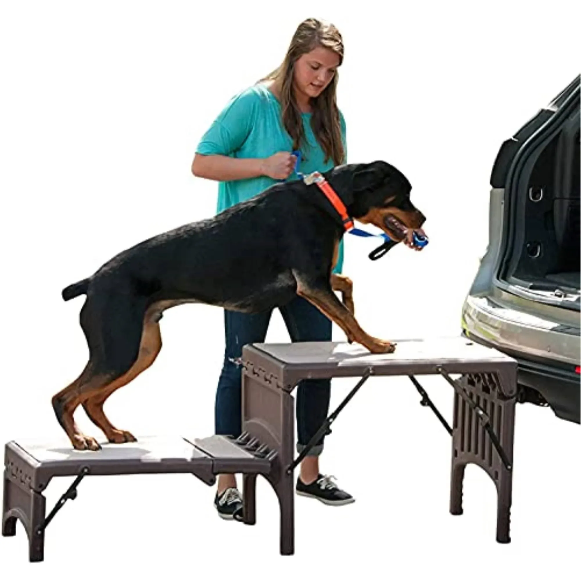 Free Standing Pet Ramp for Cats and Dogs, No Assembly Required, Easy Fold for...