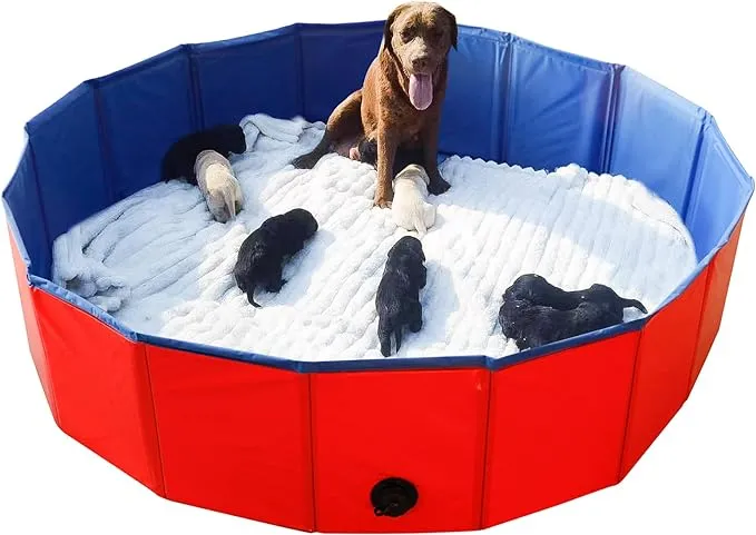 Artilife Whelping Pen for Dogs,Whelping Box for Dogs and Puppies,Dog Birth Supplies,Portable Whelping Pool Whelping Box,Foldable Dog Bath Pool (32inch Dia.x12inch H(80x30cm))