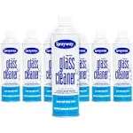 Sprayway Glass Cleaner 19 oz. Cans 12 Pack