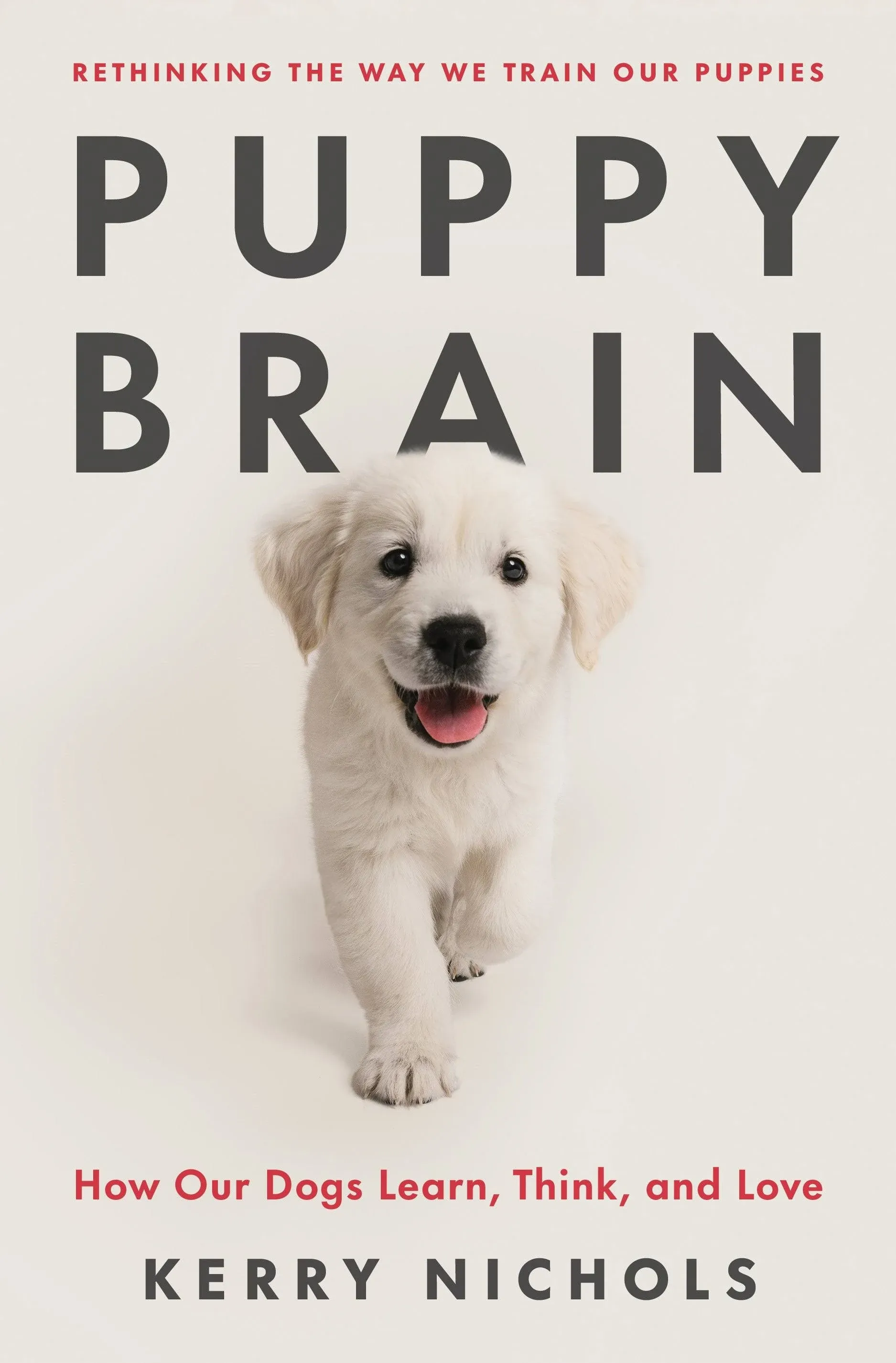 Puppy Brain: How Our Dogs Learn, Think, and Love [Book]