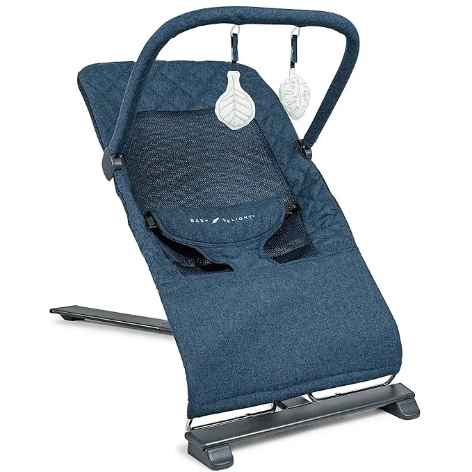 Baby Delight Alpine Deluxe Portable Bouncer