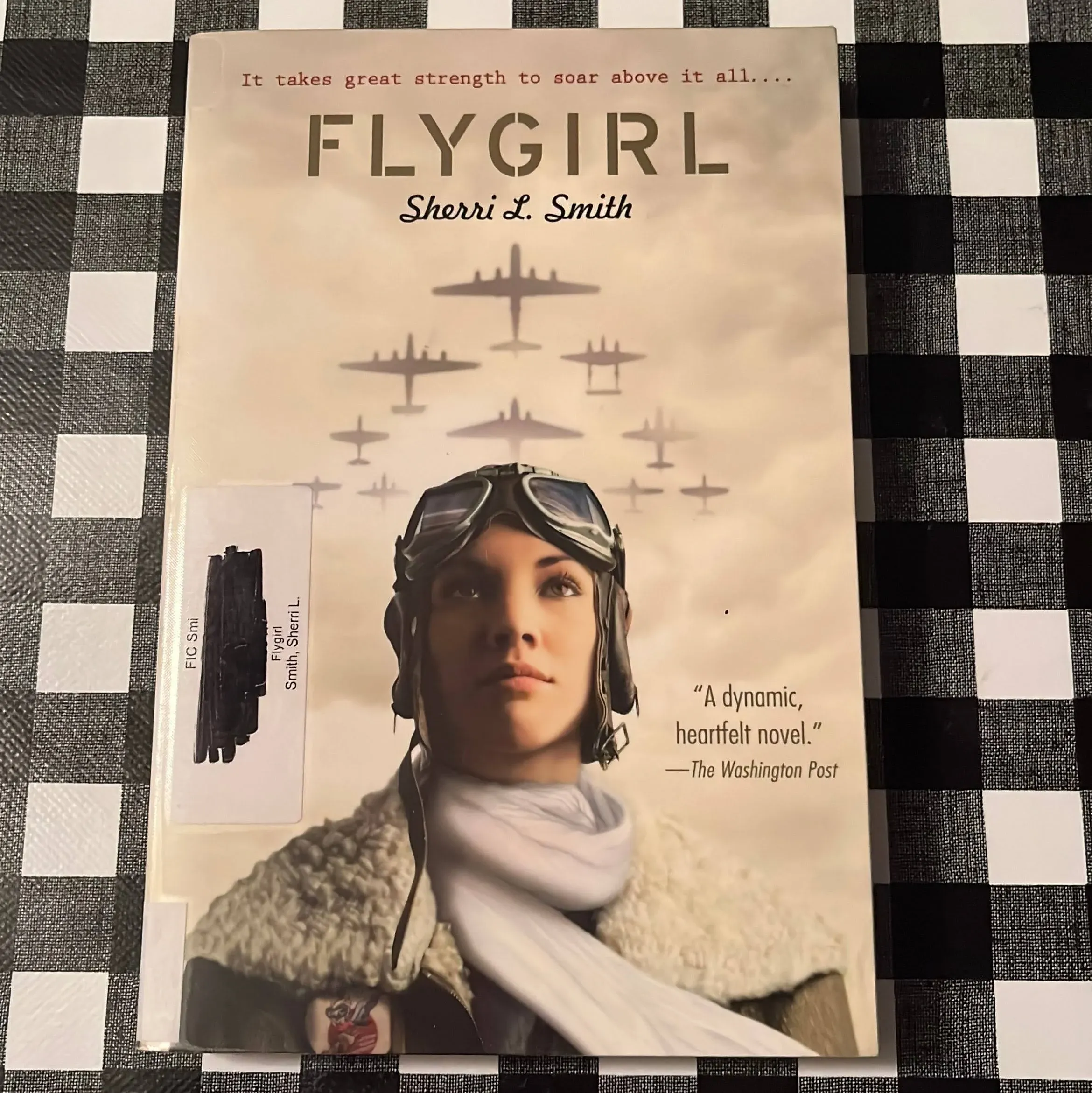 Flygirl by Sherri L. Smith (2010, UK-B Format Paperback)