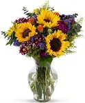 Sun Flower Garden Mix