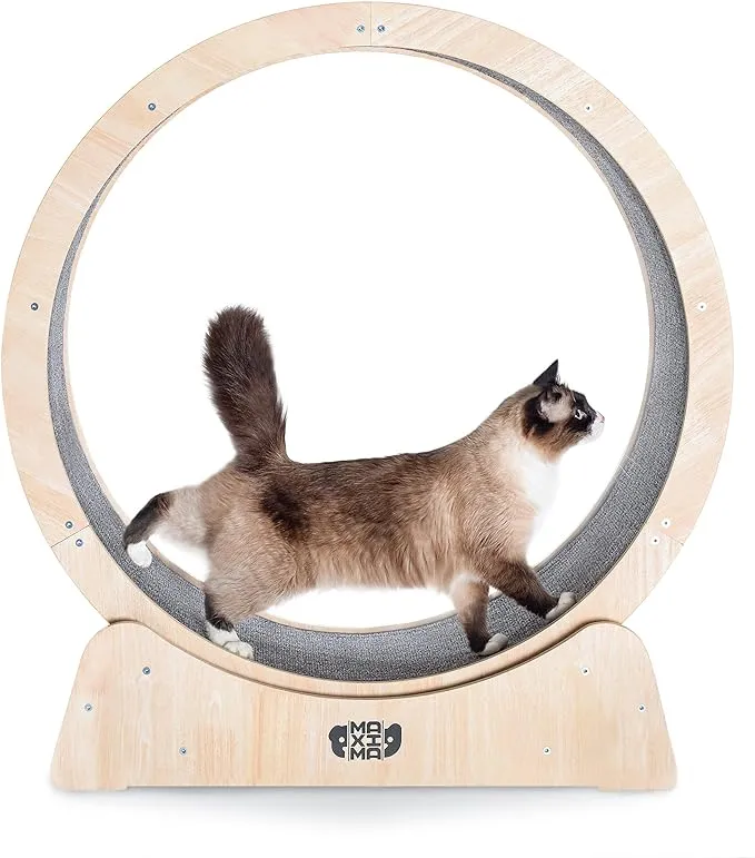 Maxima Cat Wheel