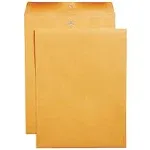 Staples Clasp & Gummed Catalog Envelopes