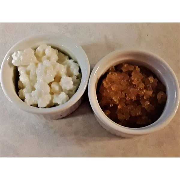 Water and Milk Kefir Grains Try Both from Poseymom